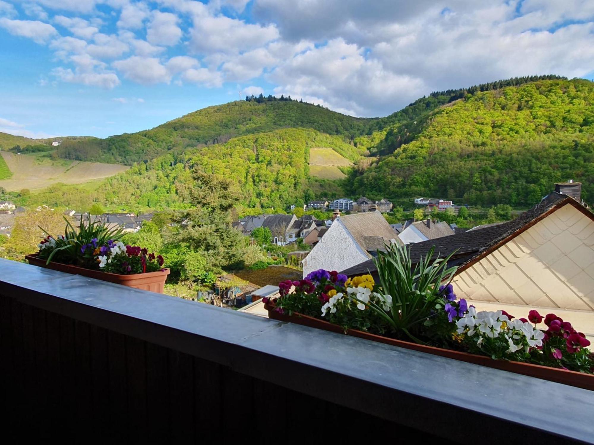Ferienwohnung Bauer Bernkastel-Kues Exterior foto